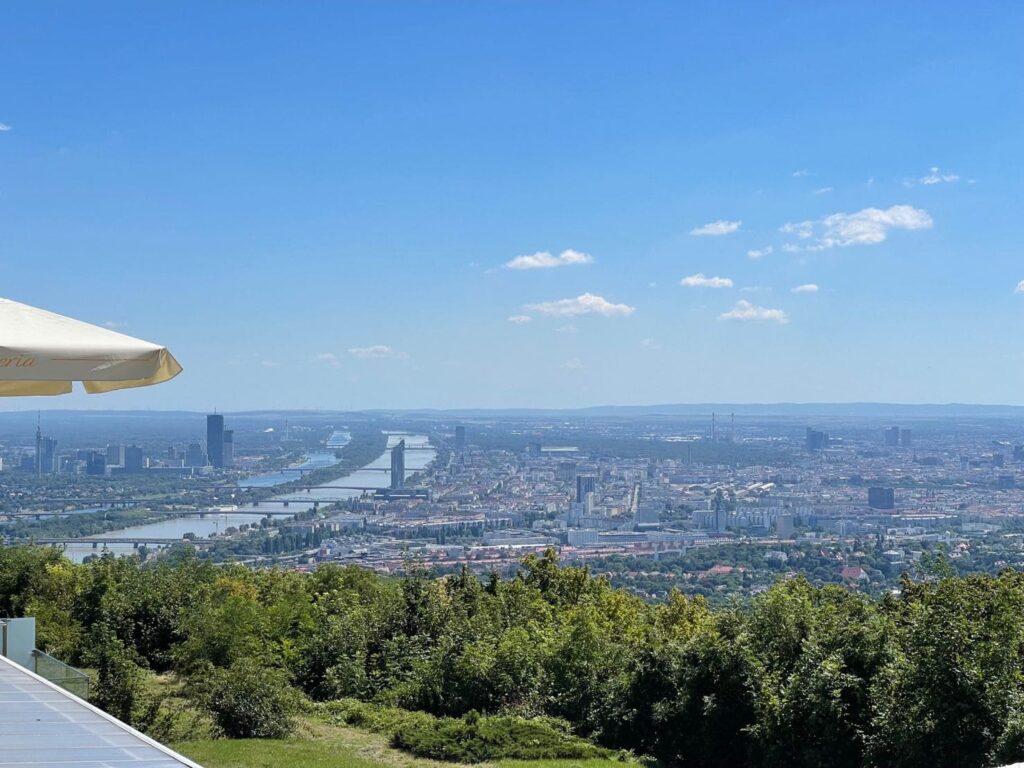 nazahid seo meetup in vienna